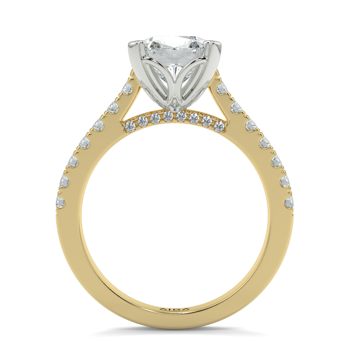 Arrakis Cushion Moissanite
