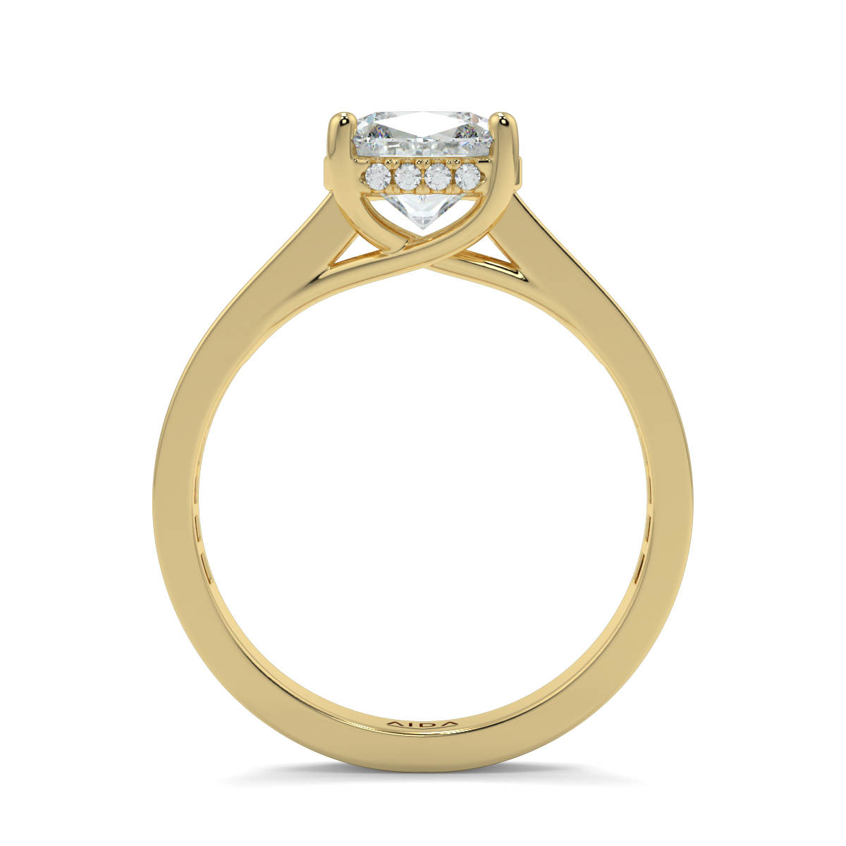 Asteria Cushion Moissanite